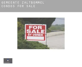 Gemeente Zaltbommel  condos for sale