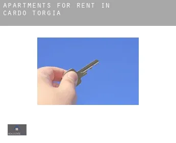 Apartments for rent in  Cardo-Torgia