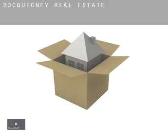 Bocquegney  real estate