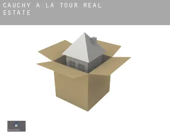 Cauchy-à-la-Tour  real estate