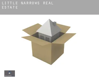 Little Narrows  real estate