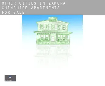 Other cities in Zamora-Chinchipe  apartments for sale