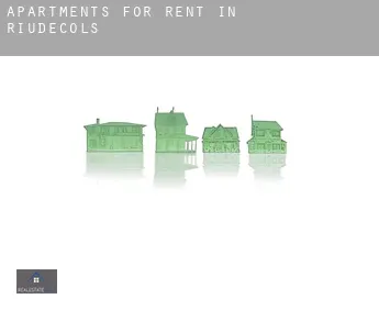Apartments for rent in  Riudecols