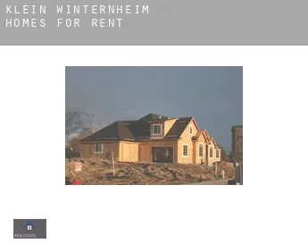 Klein-Winternheim  homes for rent