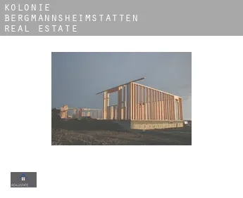 Kolonie Bergmannsheimstätten  real estate