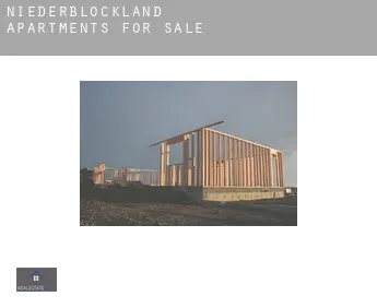 Niederblockland  apartments for sale