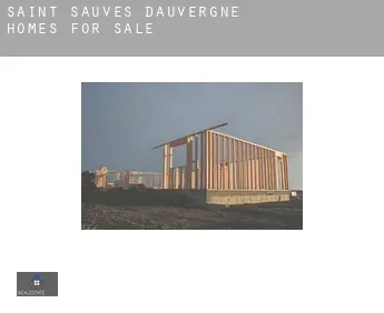 Saint-Sauves-d'Auvergne  homes for sale
