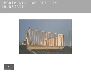 Apartments for rent in  Grünstadt
