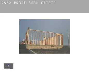 Capo di Ponte  real estate