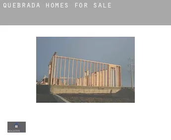 Quebrada  homes for sale