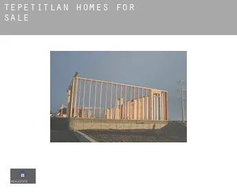 Tepetitlán  homes for sale