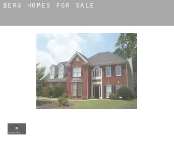 Berg  homes for sale