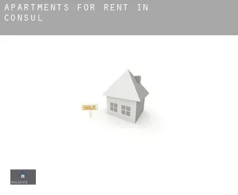 Apartments for rent in  Consul