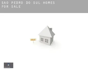 São Pedro do Sul  homes for sale