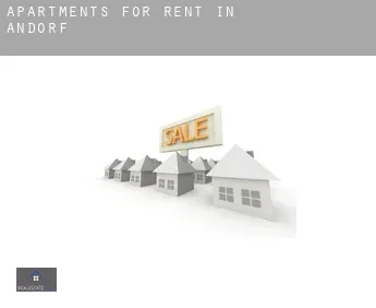 Apartments for rent in  Andorf