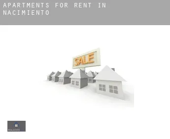Apartments for rent in  Nacimiento