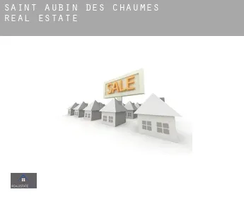 Saint-Aubin-des-Chaumes  real estate