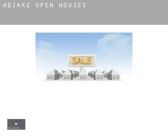 Adiaké  open houses