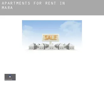 Apartments for rent in  Mara