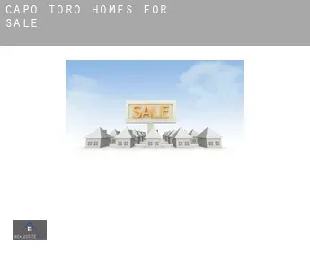 Capo Toro  homes for sale