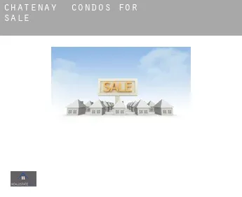 Châtenay  condos for sale