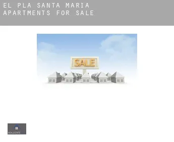 El Pla de Santa Maria  apartments for sale