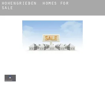 Hohengrieben  homes for sale