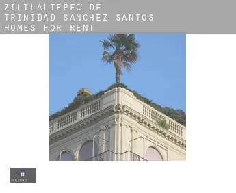 Ziltlaltepec de Trinidad Sanchez Santos  homes for rent