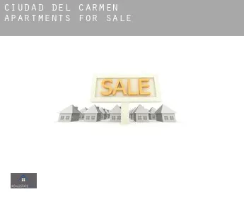 Ciudad del Carmen  apartments for sale