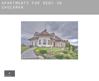 Apartments for rent in  Chocamán