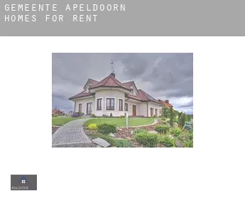 Gemeente Apeldoorn  homes for rent