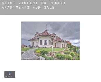 Saint-Vincent-du-Pendit  apartments for sale