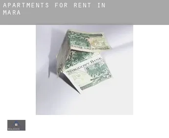Apartments for rent in  Mara