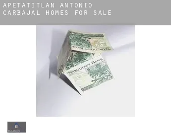 Apetatitlán Antonio Carbajal  homes for sale