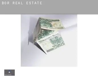 Bor  real estate