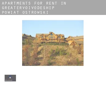 Apartments for rent in  Powiat ostrowski (Greater Poland Voivodeship)