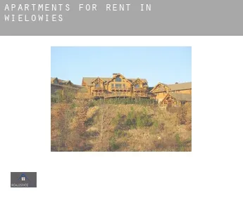 Apartments for rent in  Wielowieś