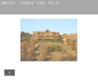 Breux  homes for sale