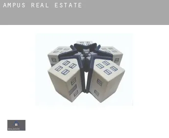 Ampus  real estate