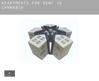 Apartments for rent in  Cannobio