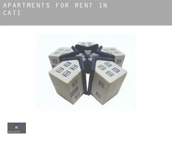 Apartments for rent in  Catí