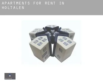 Apartments for rent in  Holtålen