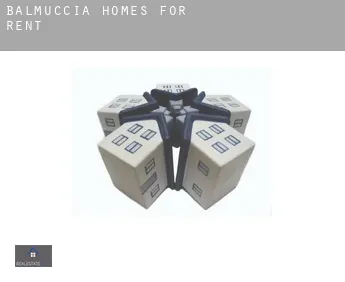 Balmuccia  homes for rent