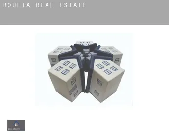 Boulia  real estate