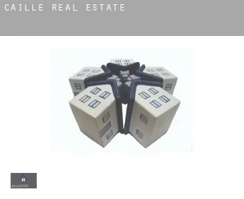 Caille  real estate