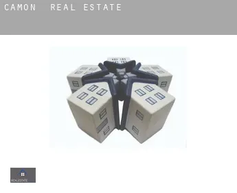 Camon  real estate