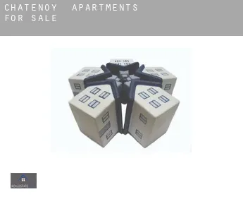 Châtenoy  apartments for sale