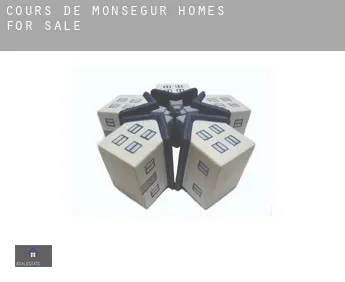 Cours-de-Monségur  homes for sale