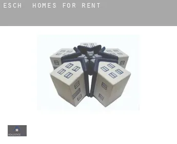 Esch  homes for rent