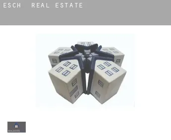 Esch  real estate